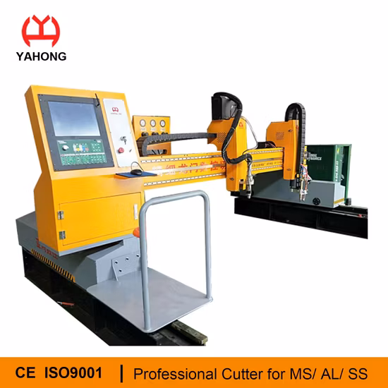 Heavy Duty Gantry CNC Plasma Cutting Machines Cutter with Two Heads for Plasma and Flame
