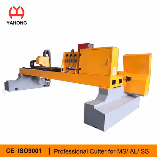 Heavy Duty Gantry CNC Plasma Cutting Machines Cutter with Two Heads for Plasma and Flame