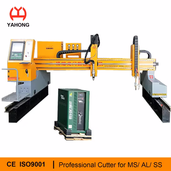 Heavy Duty Gantry CNC Plasma Cutting Machines Cutter with Two Heads for Plasma and Flame